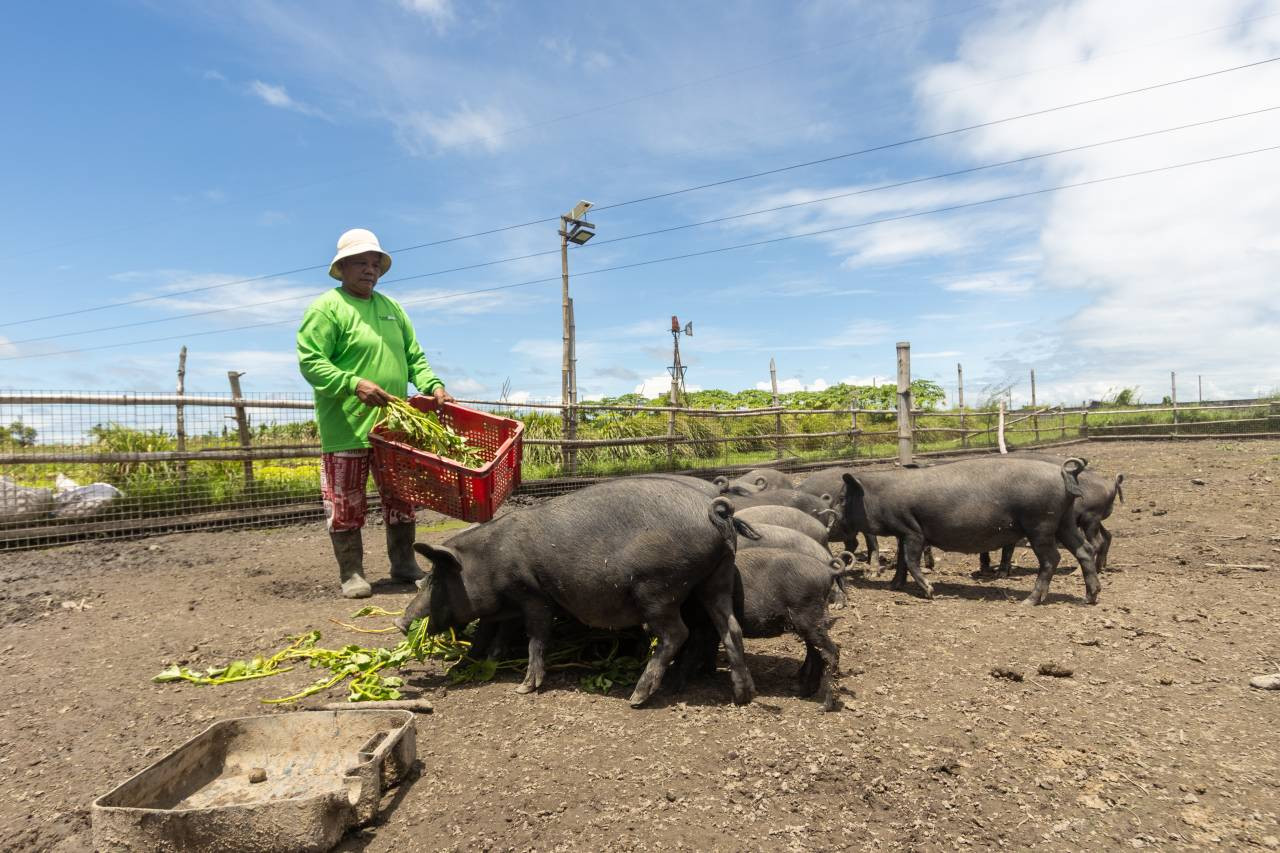 Tatler - Terra Madre Asia & Pacific Launch - 3 Organic Native Black Pig Farmer
