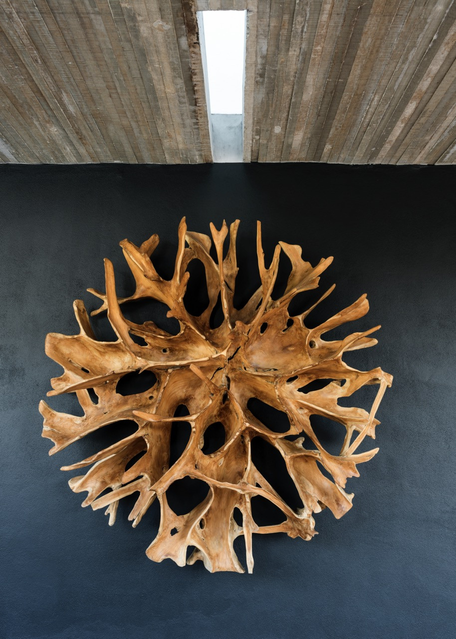 Sculptural driftwood installation against charcoal wall beneath exposed timber ceiling planks