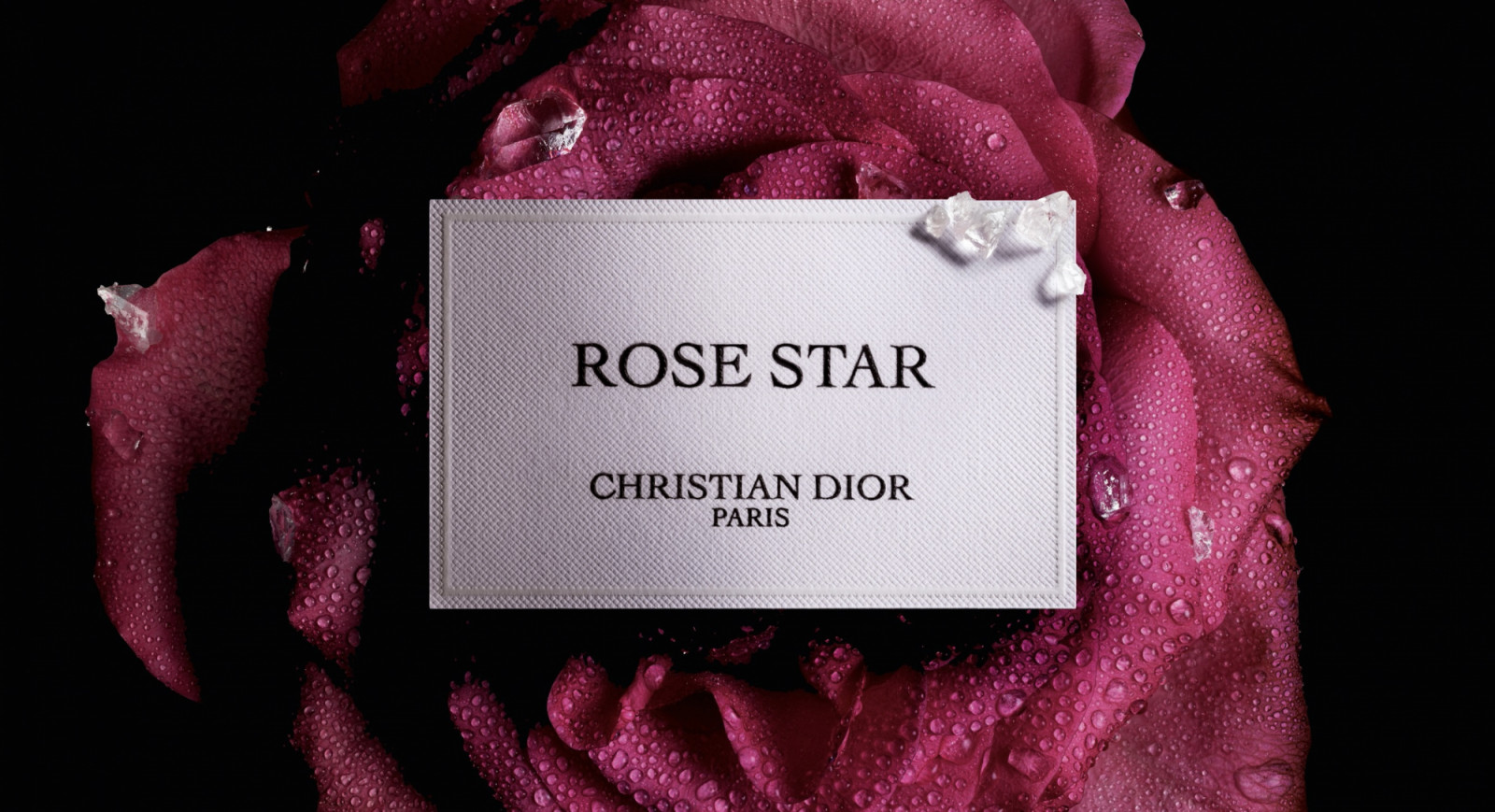 Dior's Rose Star scent comes from surprising roots | Tatler Asia