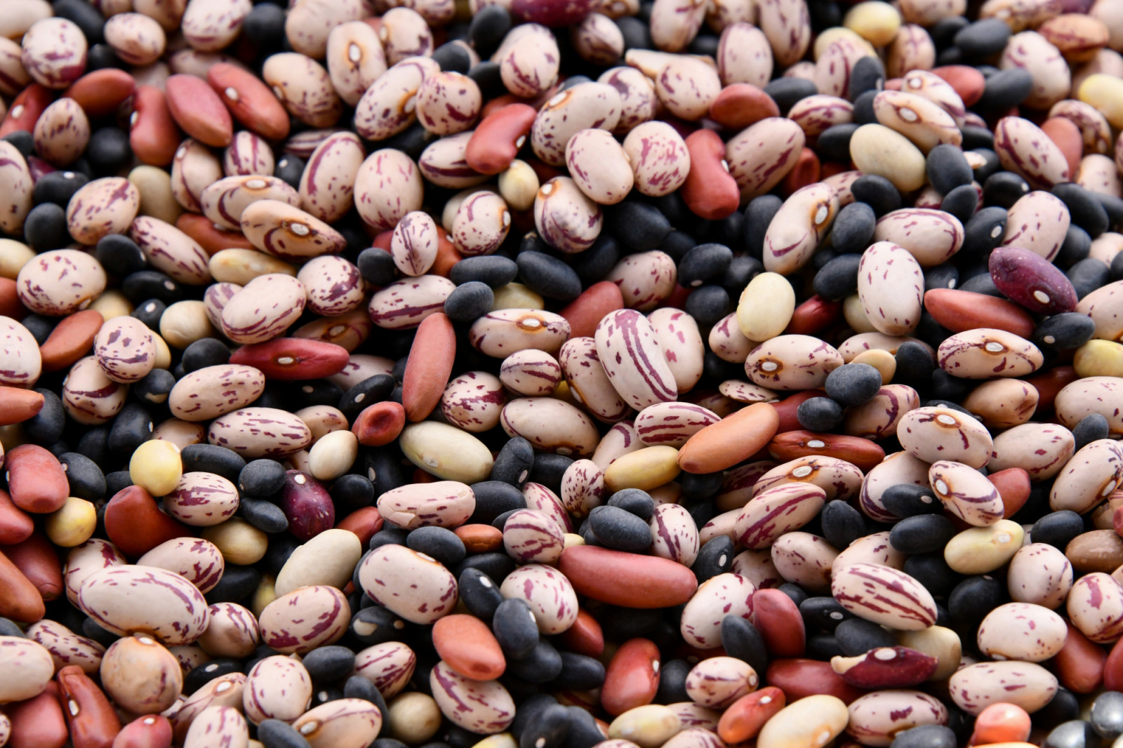 Protein helps preserve muscle mass through menopause. (Photo: Shelley Pauls / Unsplash)