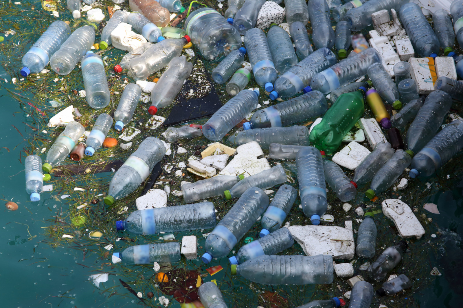 Marine pollution, mainly made up of plastic bottles and polystyrene floating in Hinnavaru Harbour, Maldives, Indian Ocean (Photo: Getty Images)