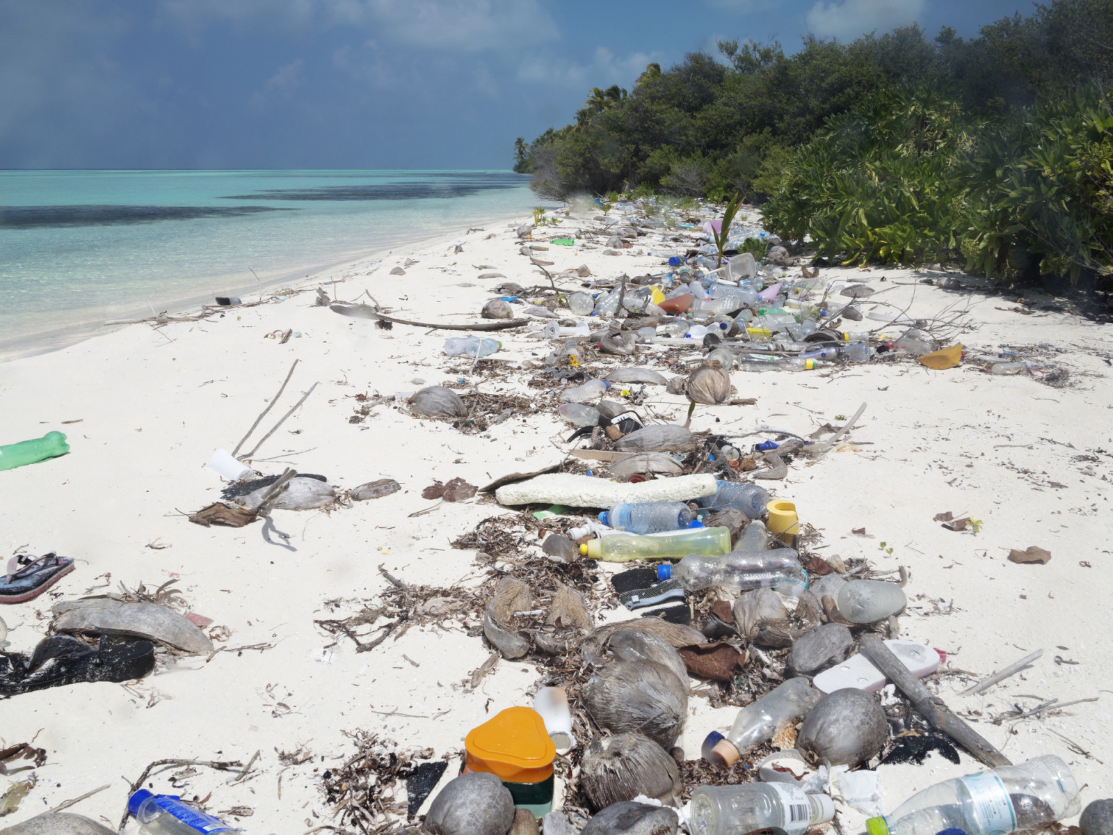 Is the Maldives sinking? Ramon Magsaysay Awards Foundation highlights Shaahina Ali’s fight for conservation