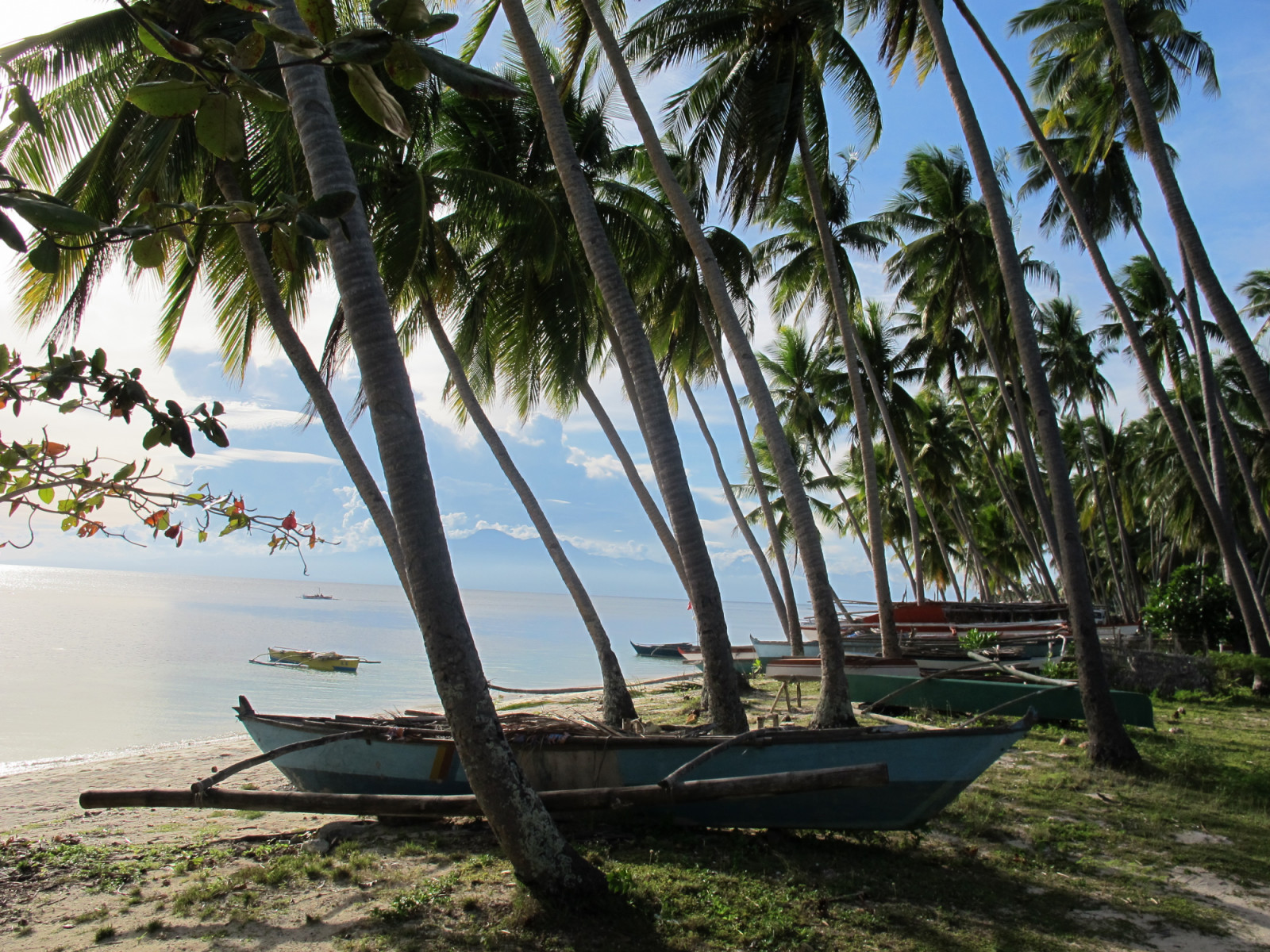 Paliton Beach (Photo: Wikimedia Commons)