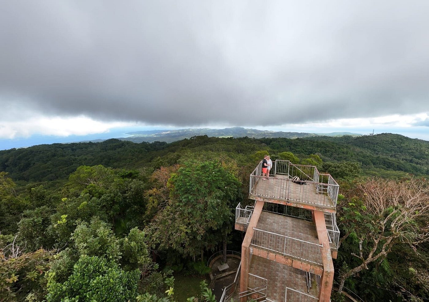 Mount Bandilaan Nature Park (Photo: Wikimedia Commons)