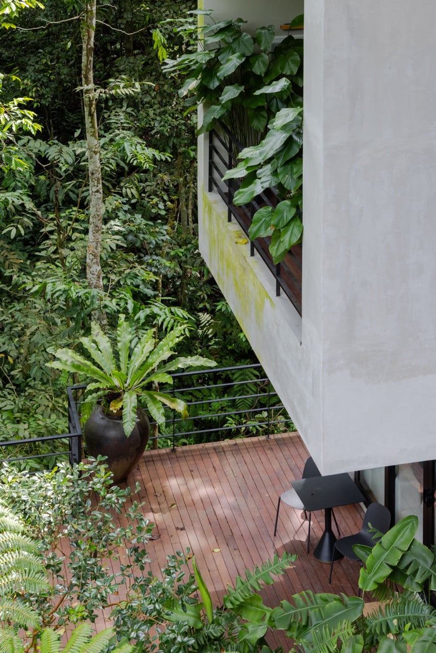 The home’s transitional spaces create moments of pause between the interior and forest