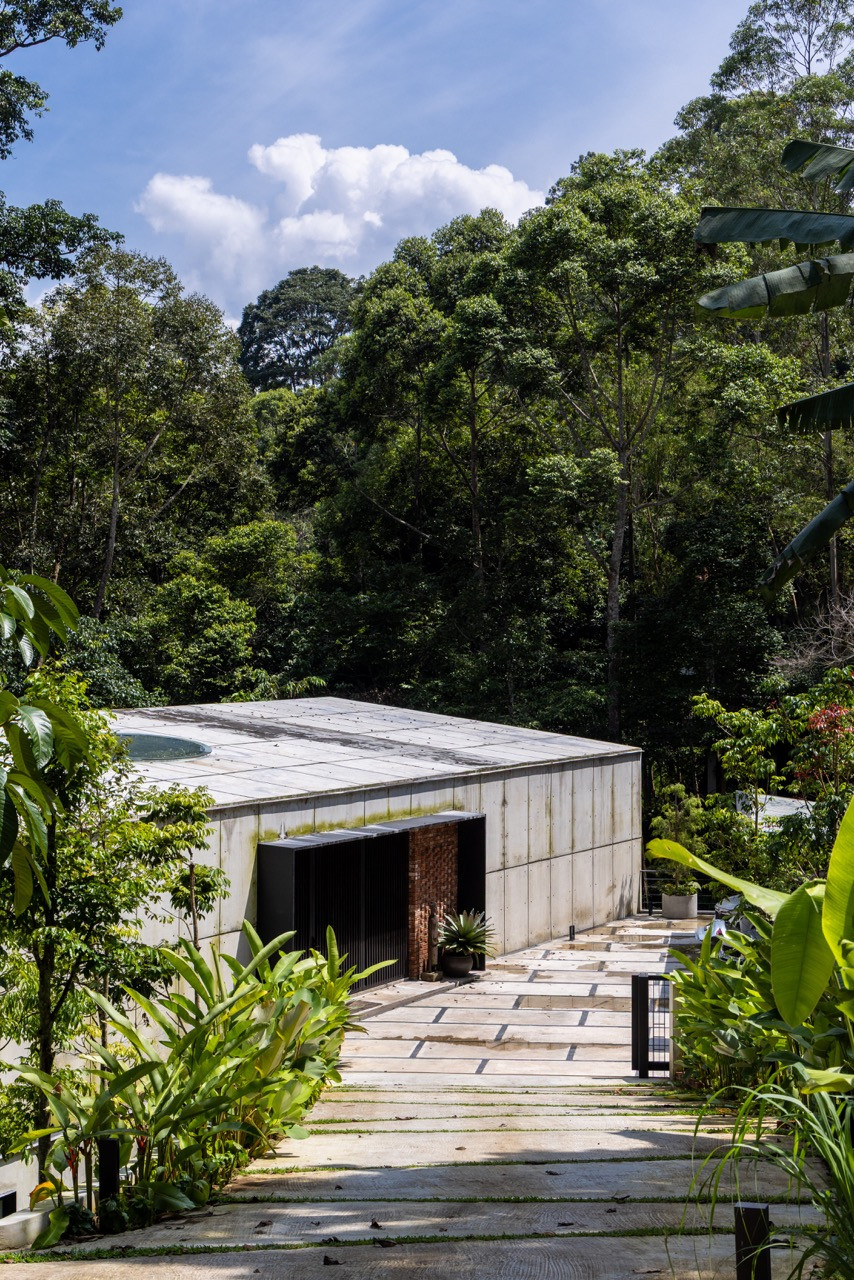 The home’s severe geometry is softened by the gentle slopes and towering trees