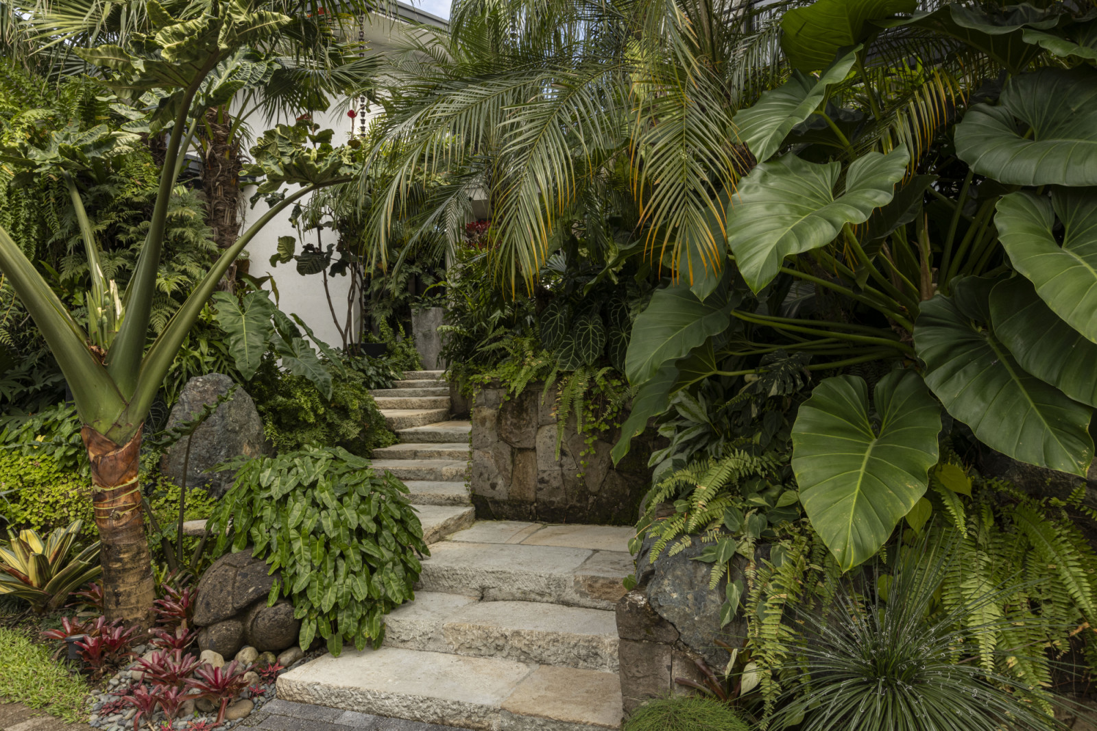 A glimpse of the thriving outdoor area of a verdant Laguna, Philippines family home designed by architect Miko Delos Reyes