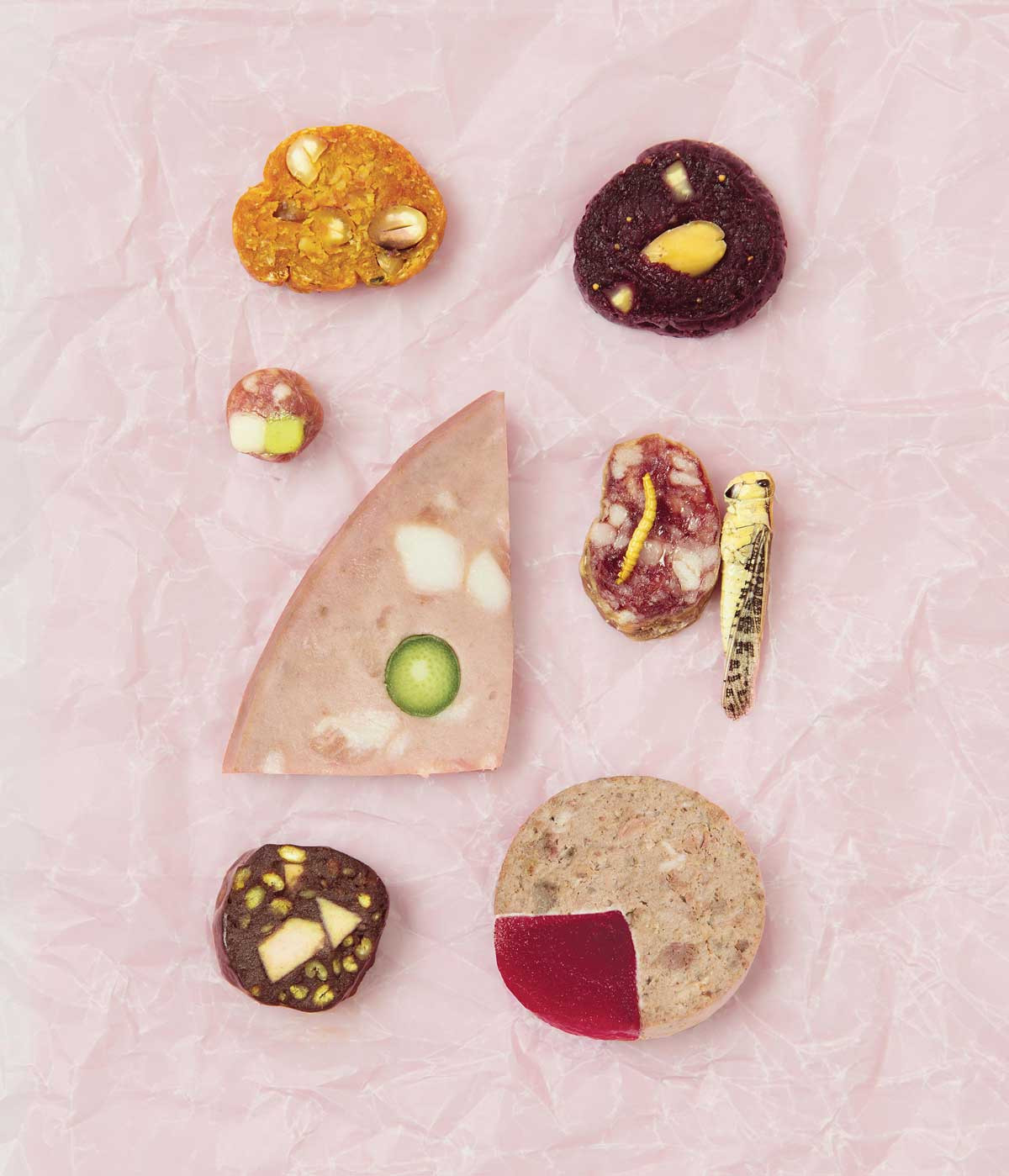 Clockwise, from top left: Carrot, apricot and coconut dried sausage, berry, date and almond dried sausage, insect salami, berry and liver sausage, apple blood sausage, potato and pea fresh sausage, vegetable mortadella (Photo: Noortje Knulst)
