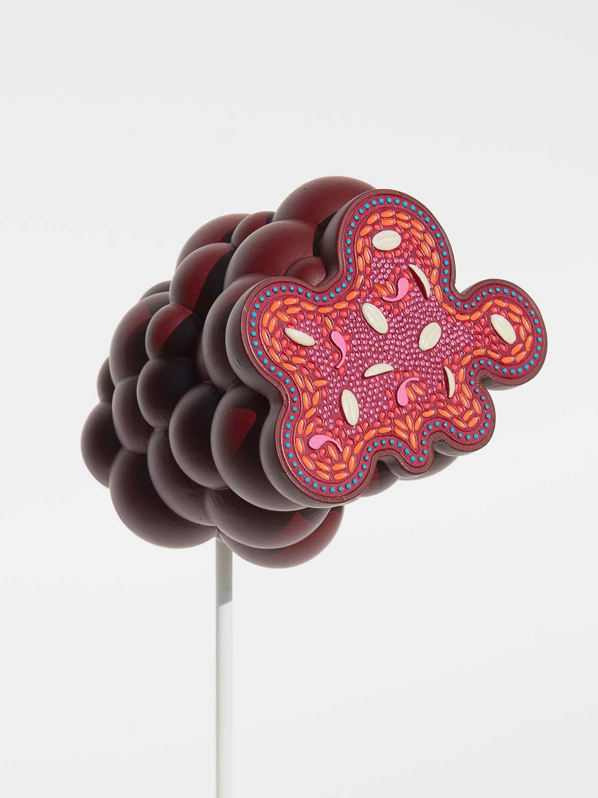 Anatomical Sausage Model: Fruit Salami by Carolien Niebling (Photo: ECAL/Younès Klouche)