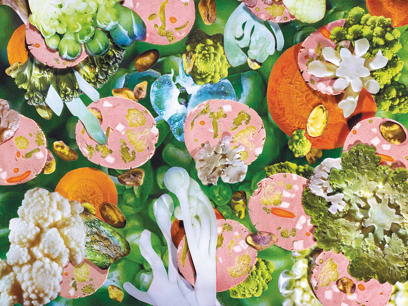 A collage from Carolien Niebling’s 2017 book, The Sausage of the Future (Photo: Emile Barret)