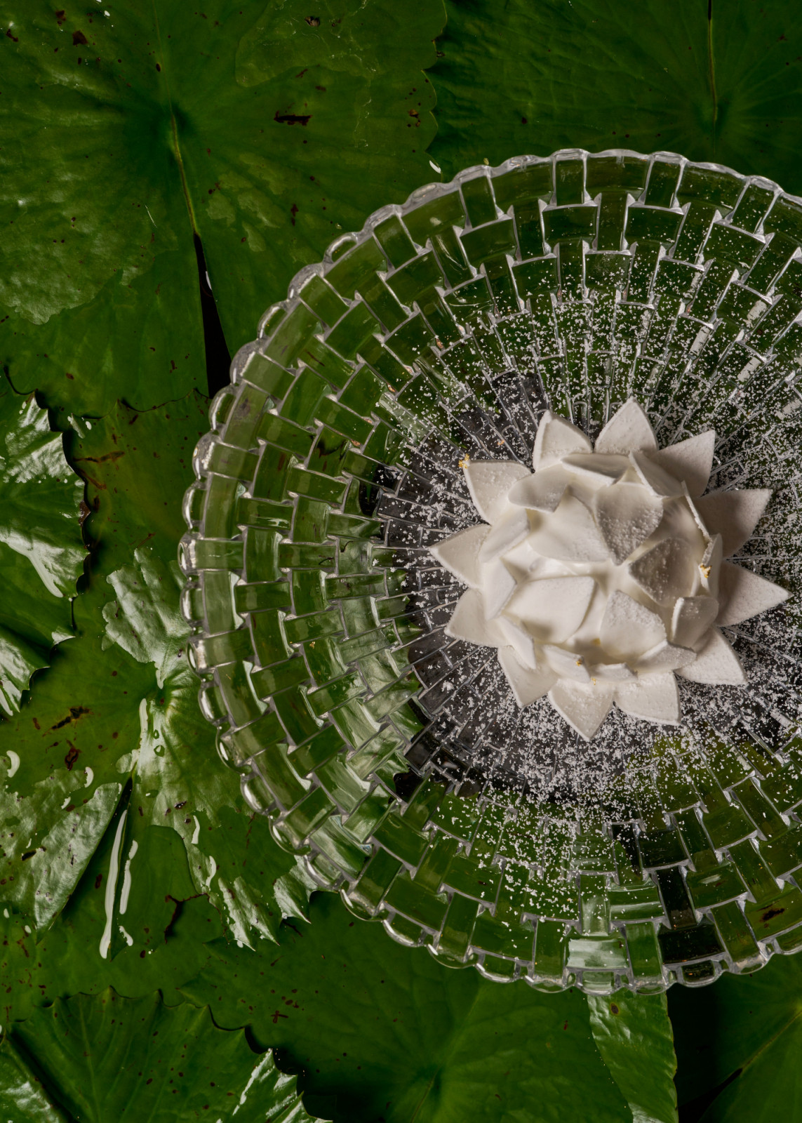 เมนู “เดอะ ไวท์ โลตัส” (The White Lotus) หรือ Baked Alaska สไตล์ไทย ที่เชฟทั้งสองเลือกวานิลลาจากเชียงใหม่ และปั้นเป็นรูปดอกบัวสีขาวอย่างวิจิตรบรรจง (ภาพ: Sra Bua by Kiin Kiin)