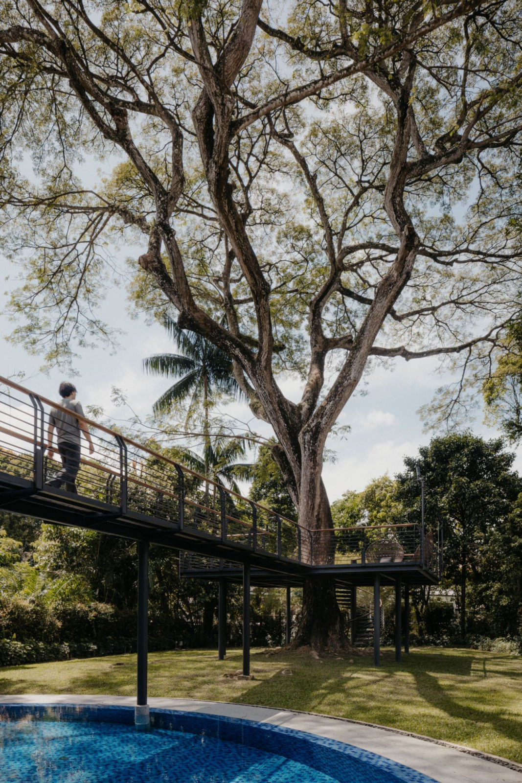The platform built around the rain tree allows dwellers and guests to interact with it, turning it into a design feature