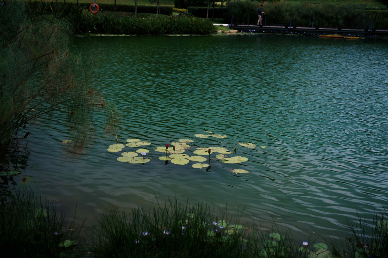 One of the eight private lakes surrounded by jogging trails