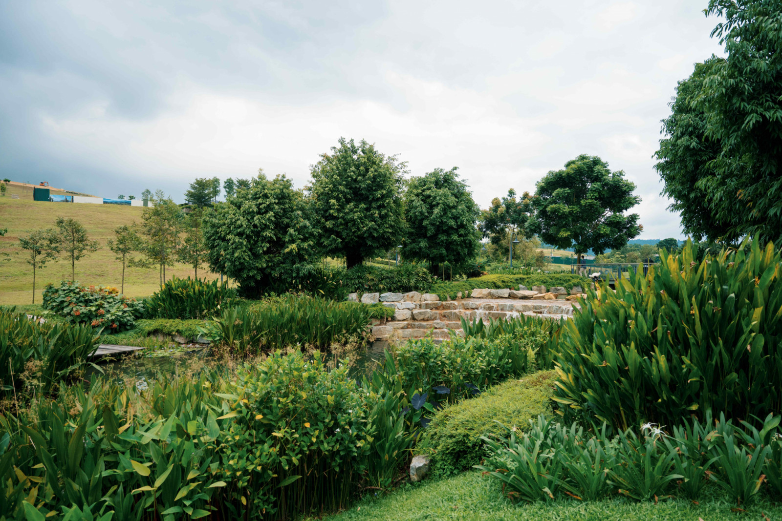 More than 70 percent of Anyara Hills’ masterplan features open green space with integrated wellness-focused amenities