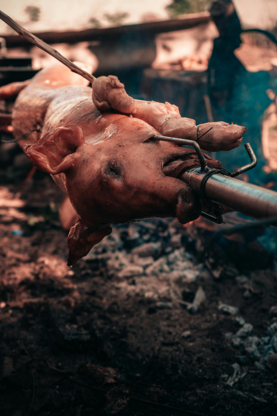 Lechon