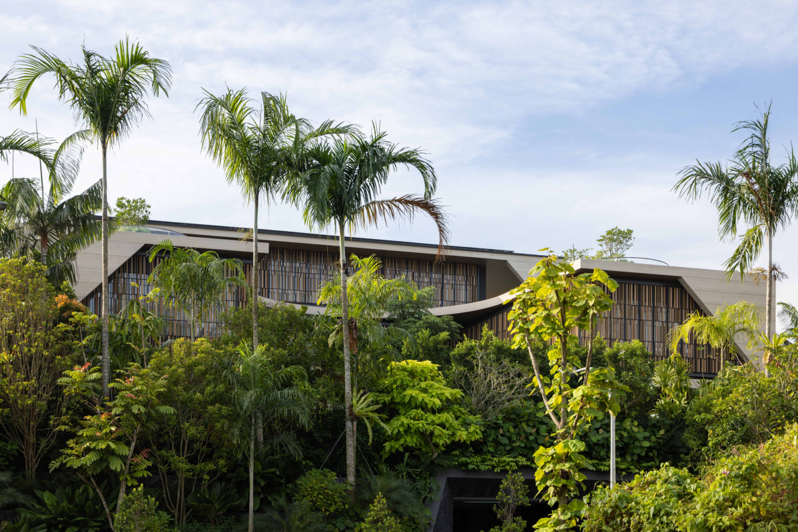 Amid the greenery, the good class bungalow’s architecture reveals itself—its namesake, House Above the Trees, aptly realised in the landscape
