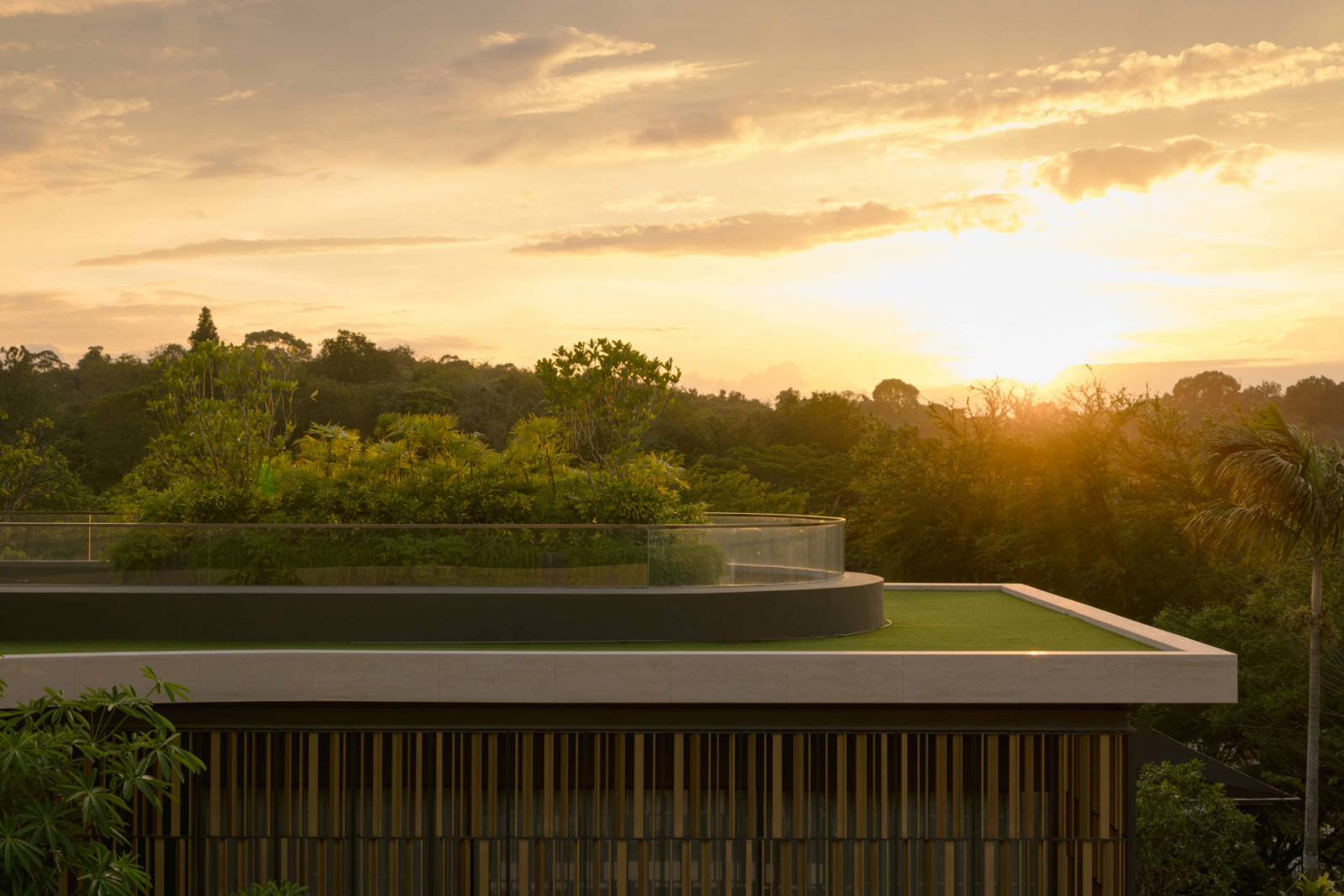 From the roof garden, the sunset unfolds over a canopy of trees—a tranquil finale to the day
