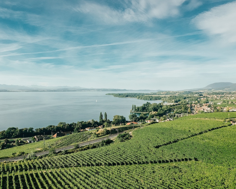 Swiss town of Neuchâtel, which is also a wine-growing region located against the Jura Mountain (Photo: Swiss Wine Promotion)