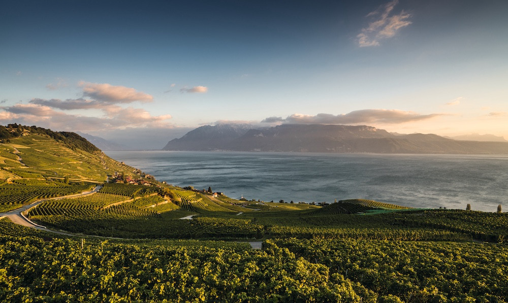 Lavaux vineyard terraces (Photo: Swiss Wine Promotion)