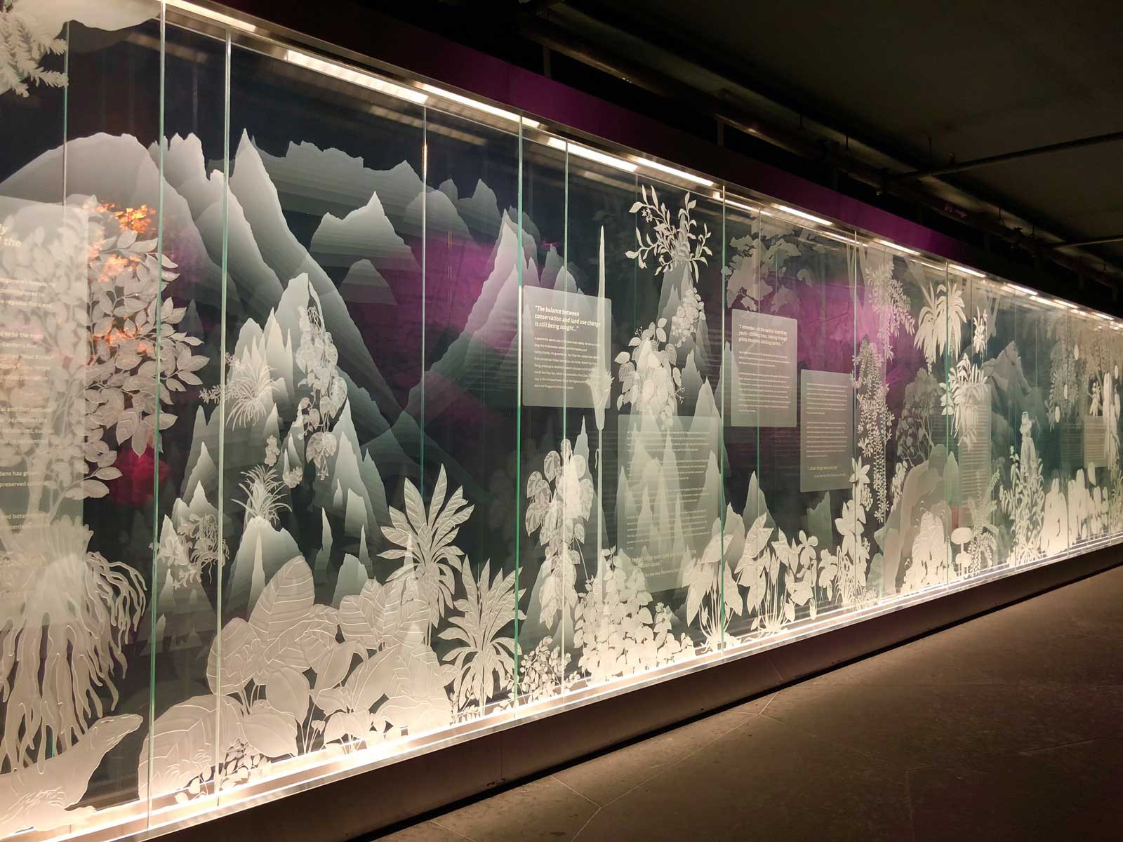 Synergraphic’s glass artwork at Gardens by the Bay’s Cloud Forest tells stories of Singapore’s tropical flora