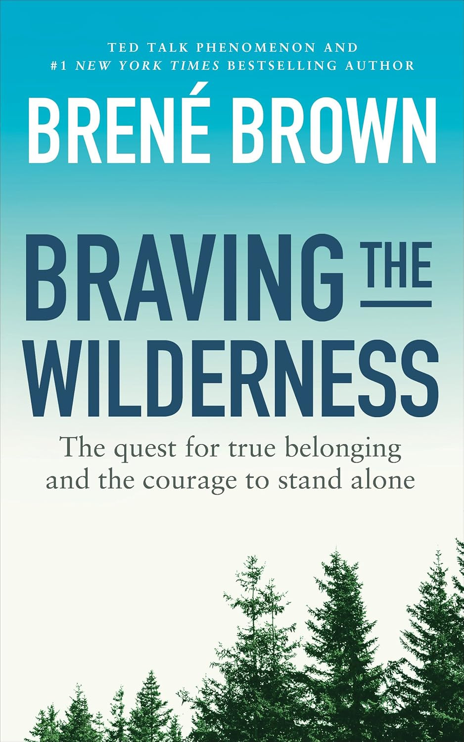 ‘Braving the Wilderness: The Quest for True Belonging and the Courage to Stand Alone’ by Brené Brown (Photo: Vermilion)