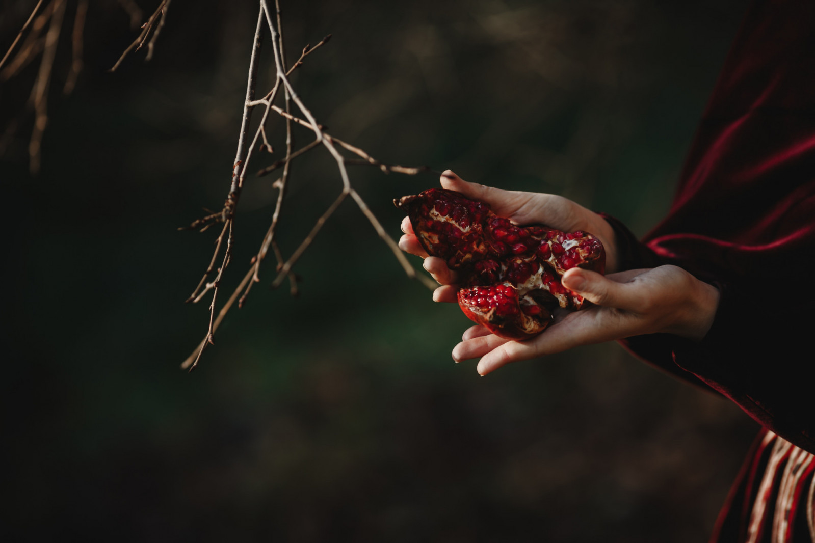 These chilling gothic novels explore the genre's most enduring question: what happens when women claim the darkness for themselves? (Photo: Freepic.diller / Freepik)