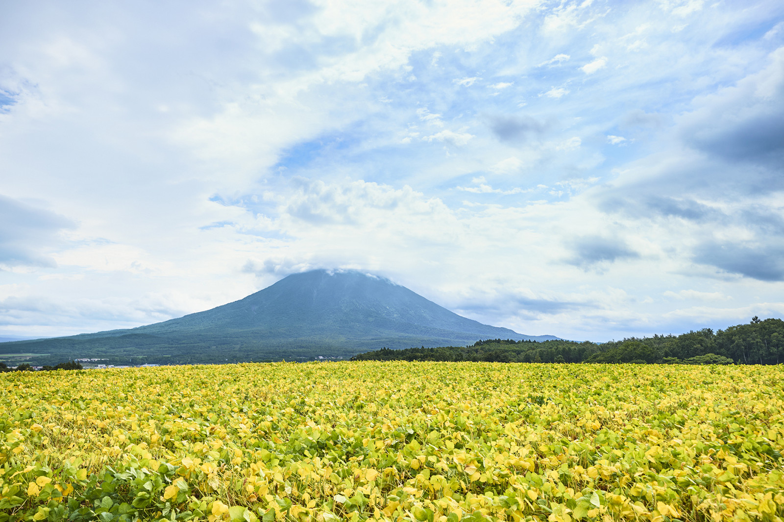 The secluded mountain road leads to untouched wilderness beyond Niseko’s bustle. (Photo: Chalet Ivy)