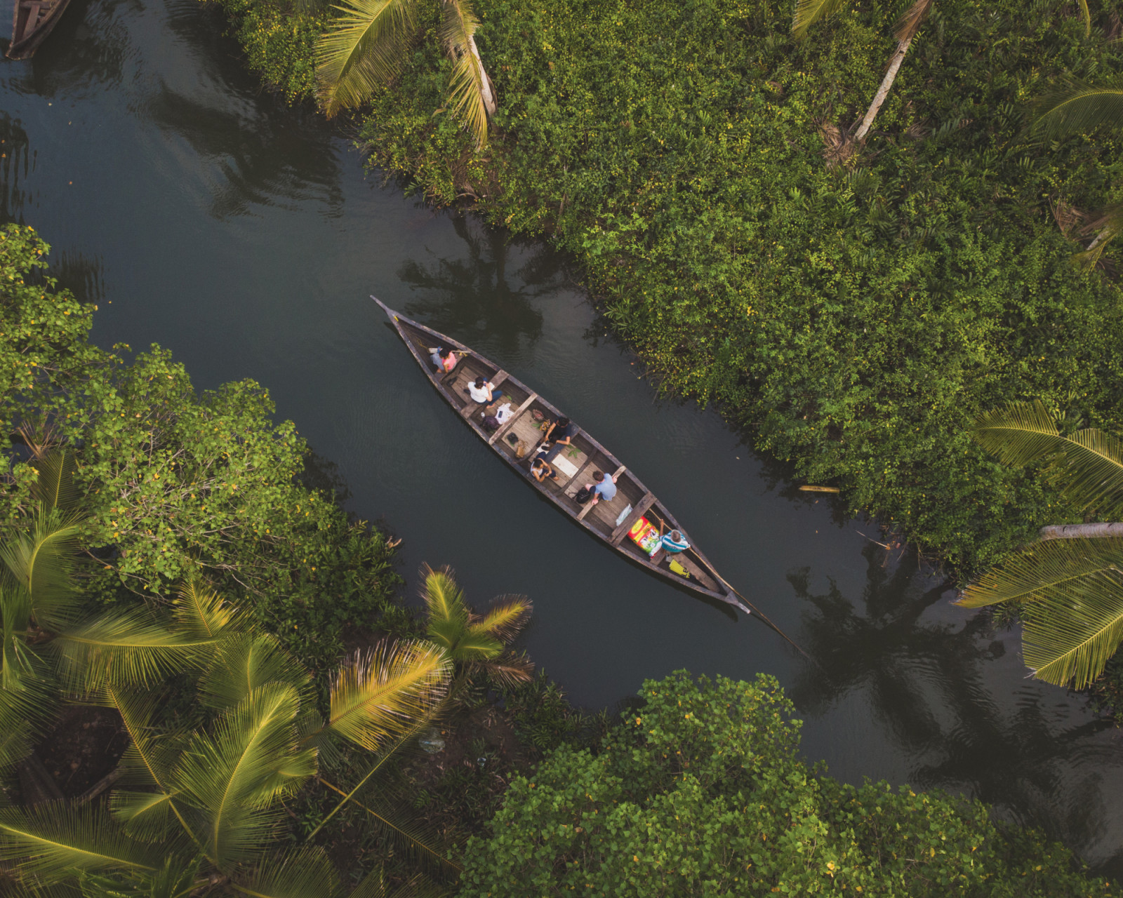 A top view shot of people canoeing in Munroe Island