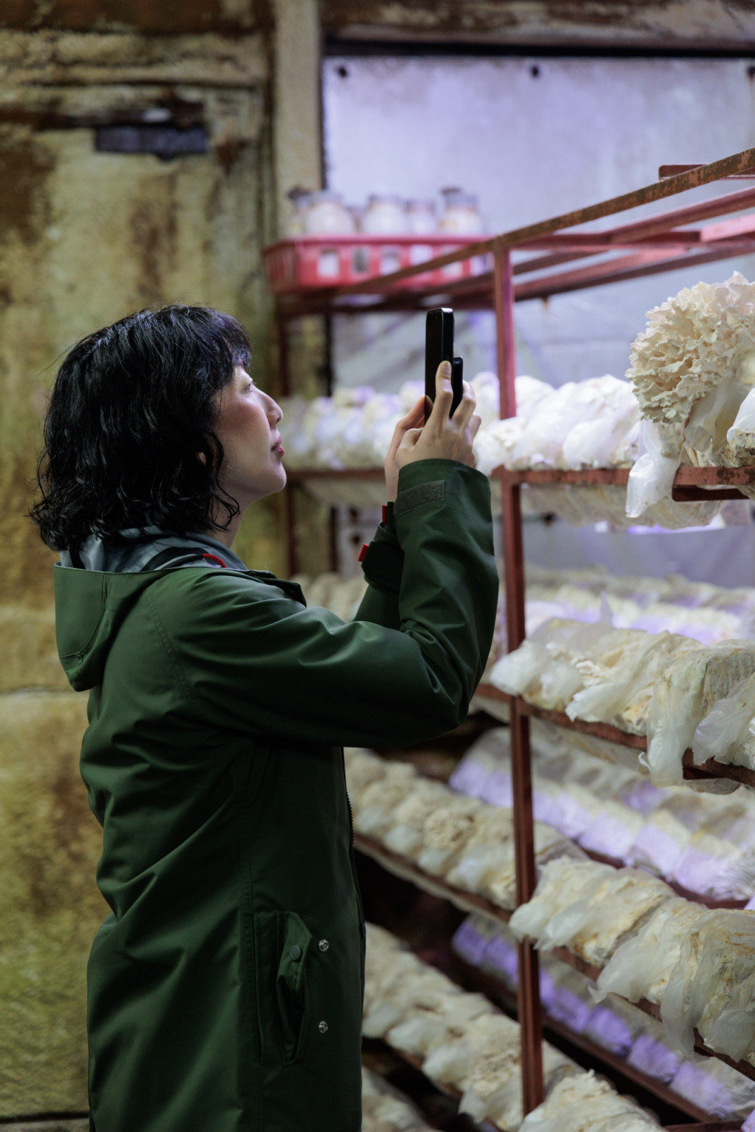 Chef Genie Kwon admiring the maitake at Yamako Kinokoen mushroom farm