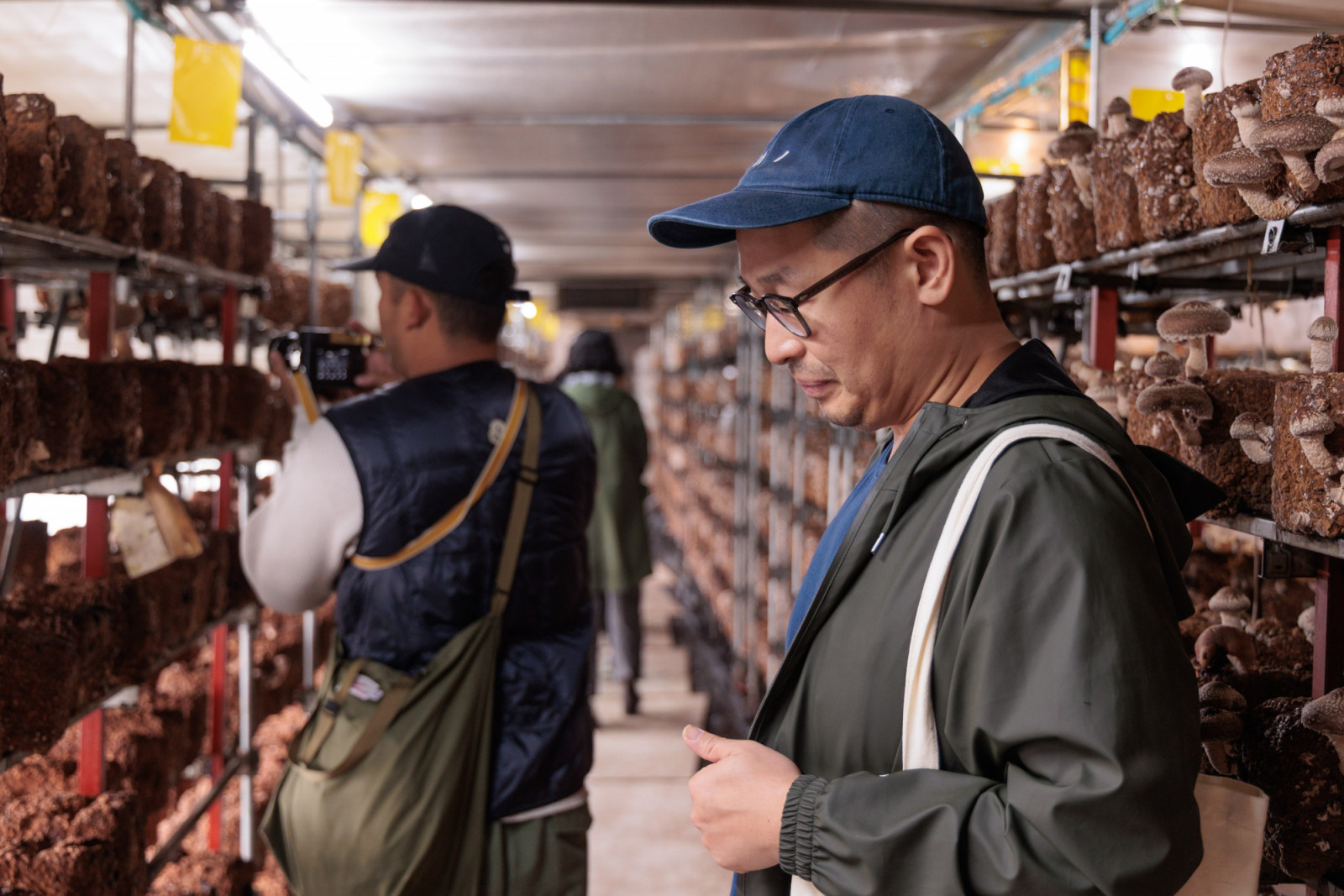 Chefs Tim Flores and Kwang Uh at Yamako Kinokoen mushroom farm
