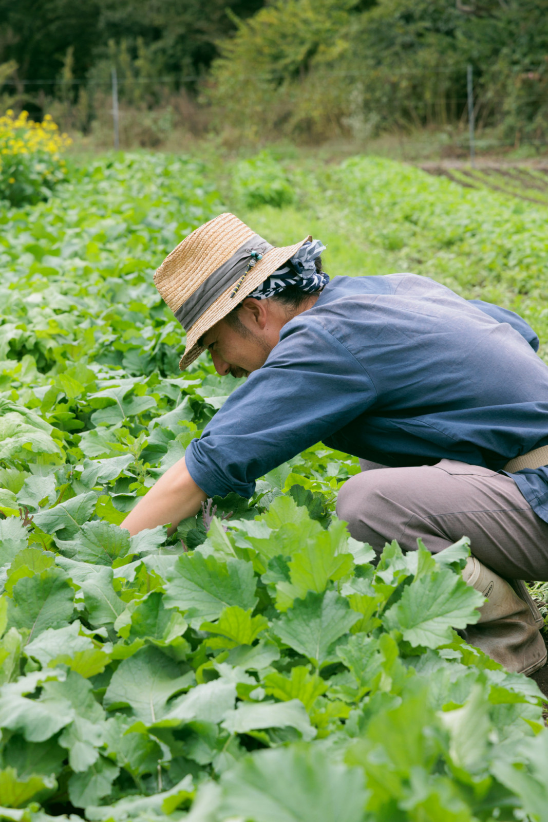 Yusuke Iizuka, owner and farmer of Yusuke Iizuka, who moonlights as a DJ