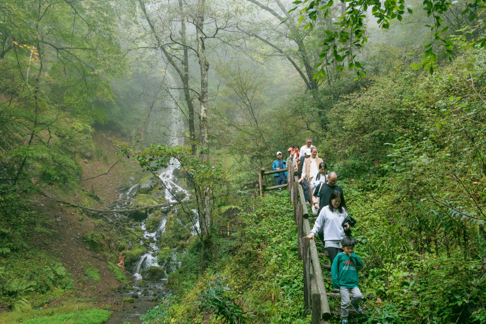 An energising morning walk to the majestic Sengataki Falls