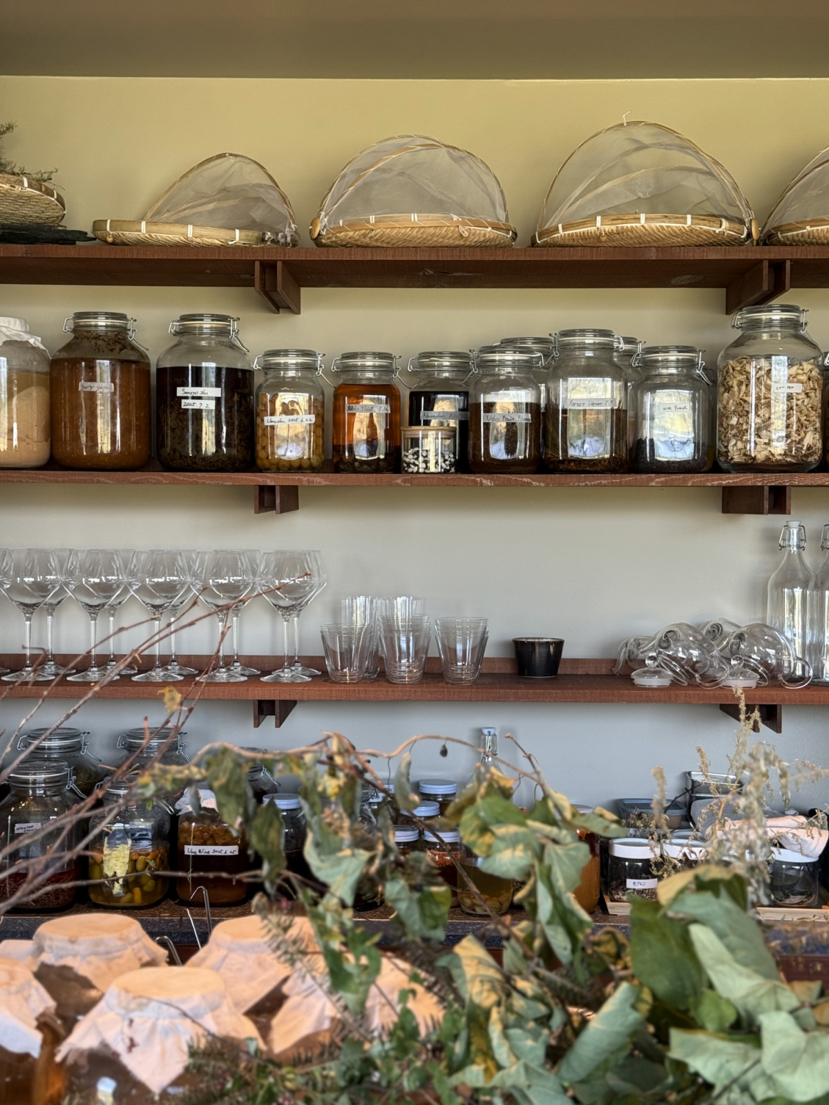 A display of pickles and ferments at Song restaurant (photo: Lauren Golangco)