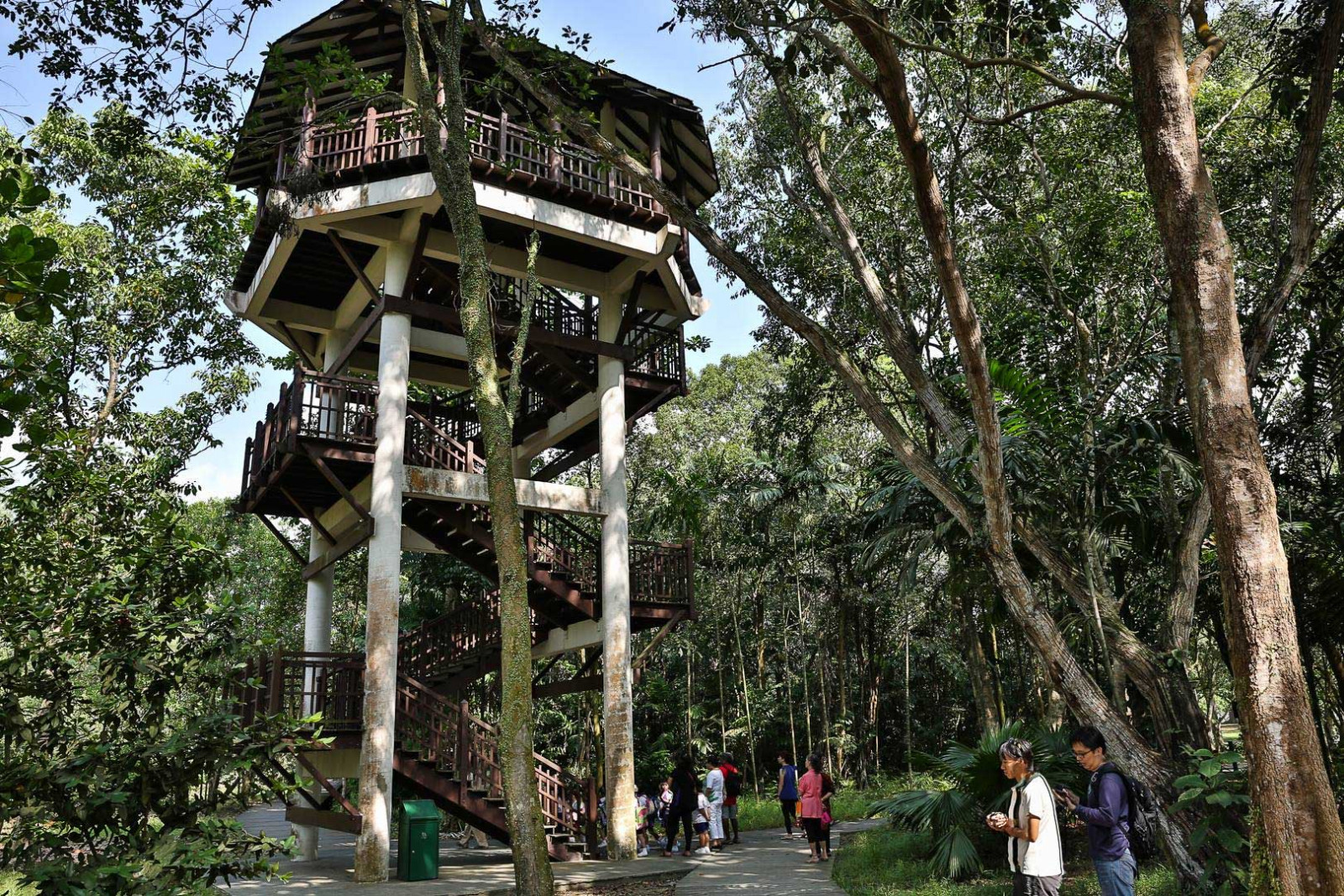 The birdwatching tower at Pasir Ris Park (Photo: Facebook / NParks)