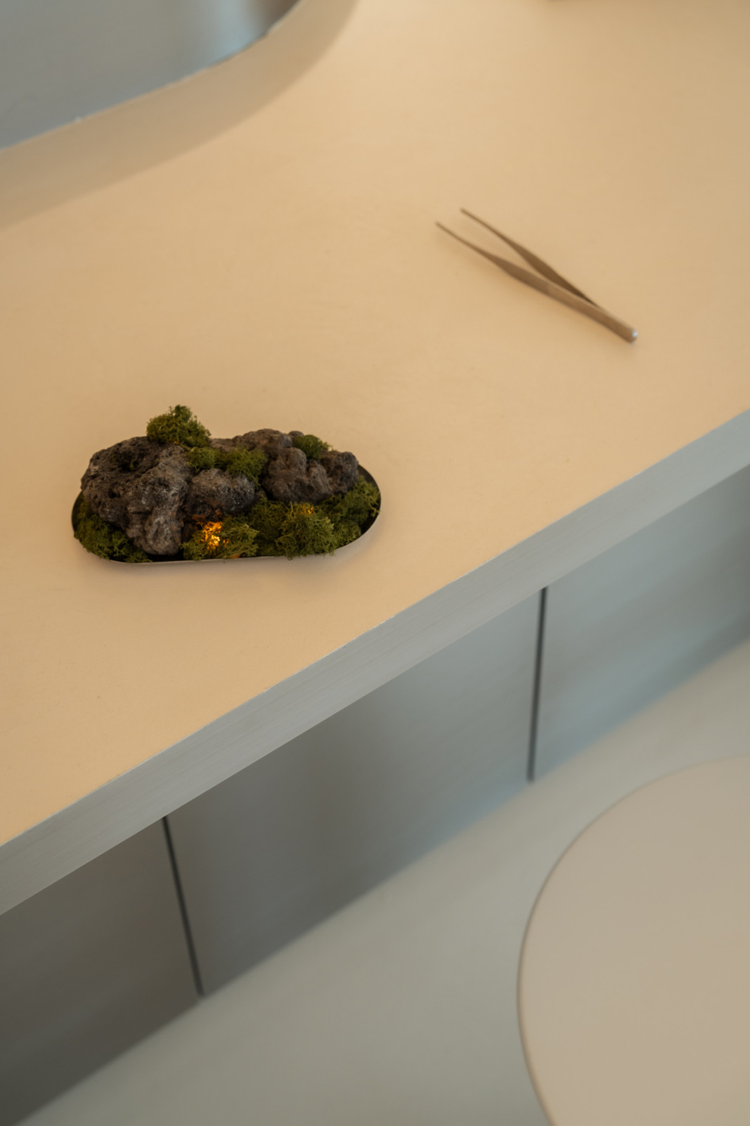 A closeup of a moss feature by Soilboy