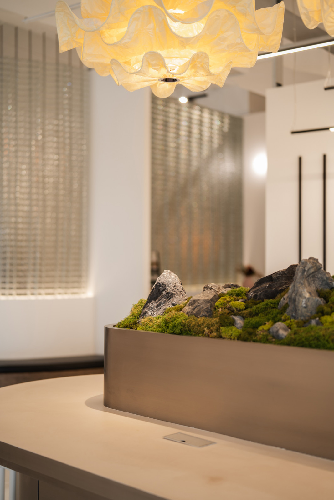 Sol Luminaire’s Pulp lamp illuminating Soilboy’s moss garden