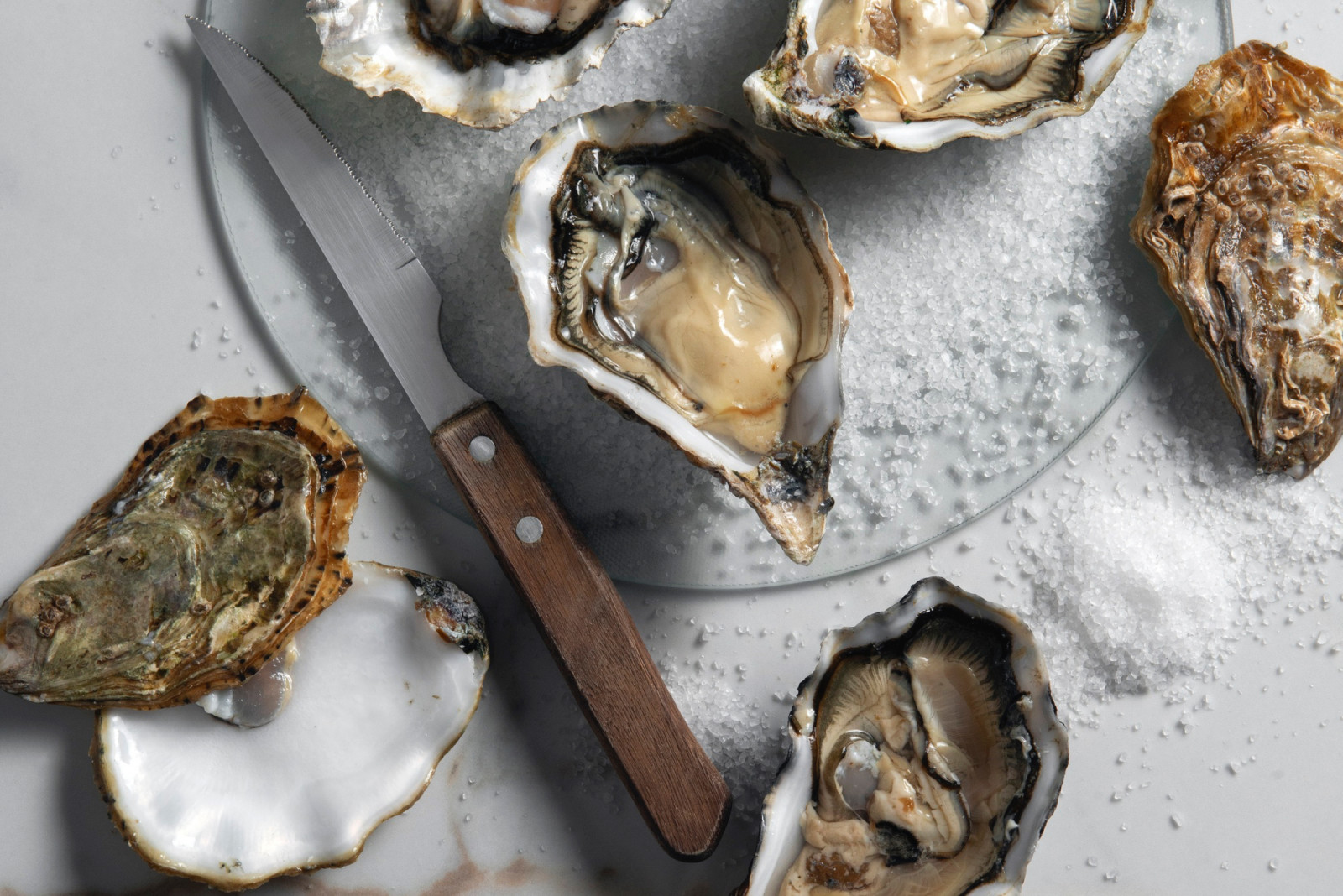 From coastal staple to premium delicacy, oysters balance abundance and luxury (Photo: Freepik)