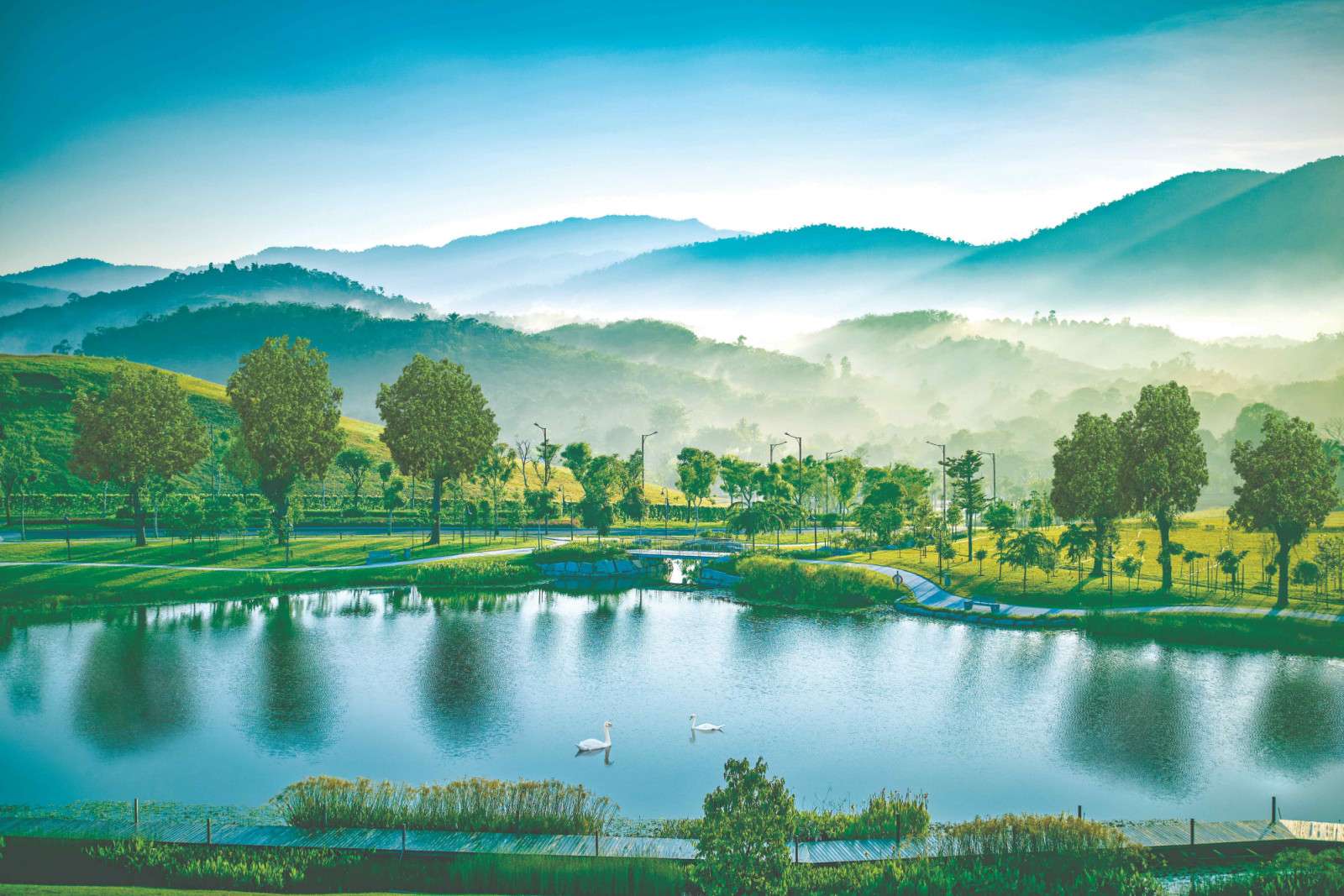 Nature within the pristine landscape of Anyara Hills provides the ideal environment for wellness to flourish