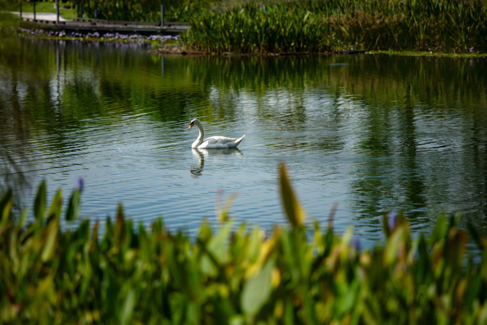 An actual site photo of Anyara Hills, where private jogging trails weave through private lakes