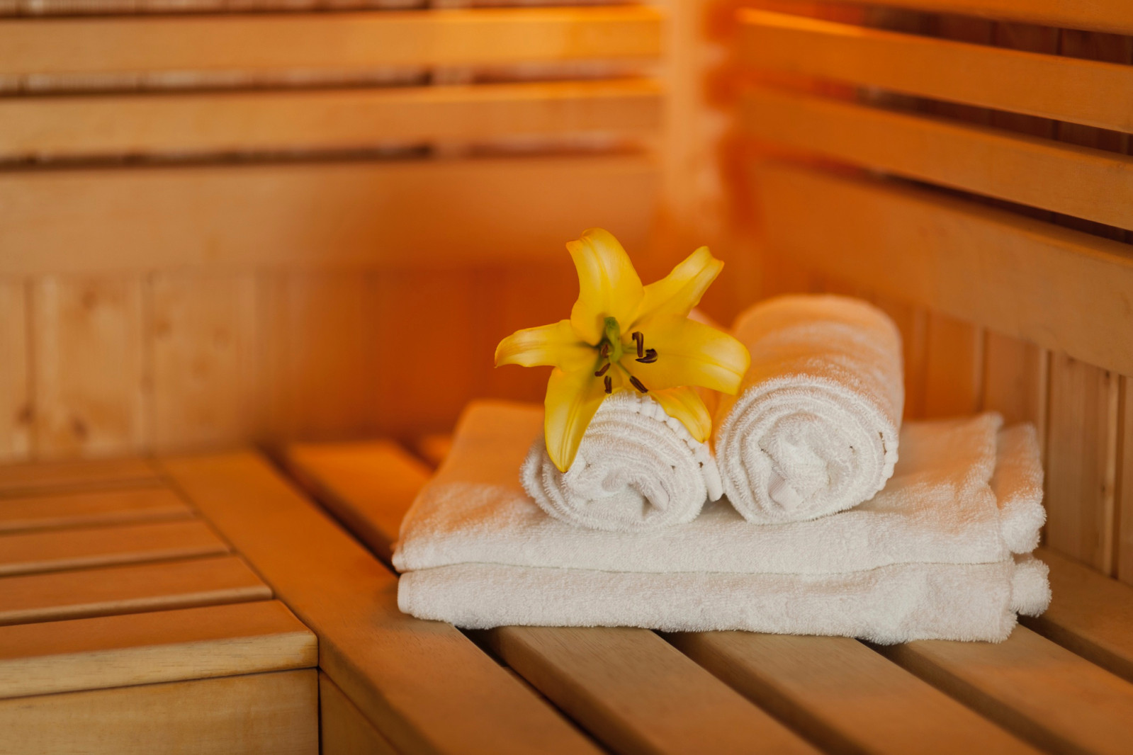 From bustling Tokyo to remote Hokkaido, these three Japanese saunas awared at Saunacheline 2025 showcase a range of experiences, from rooftop terraces and specialized heat rooms to tranquil riverside baths (Photo: Gpointstudio/Freepik)