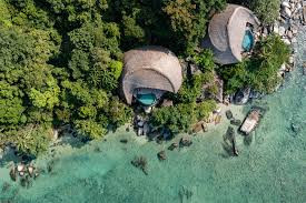 Cempedak