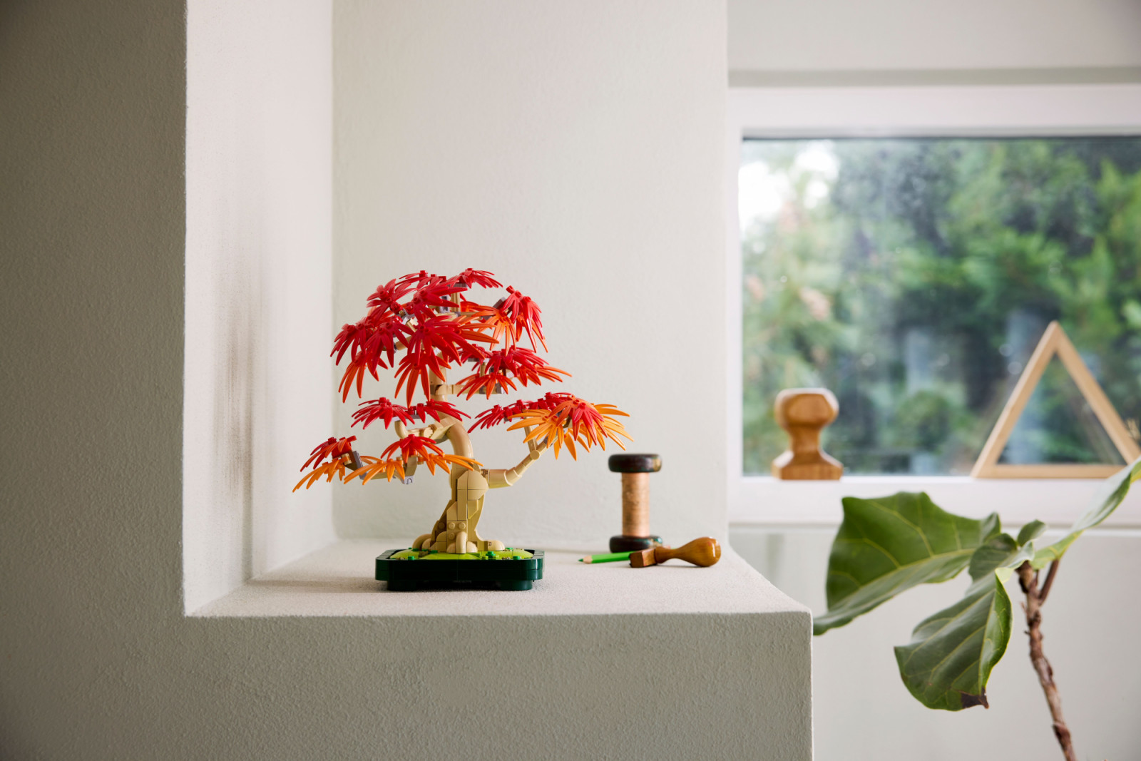 venkovni bonsai Bonsai