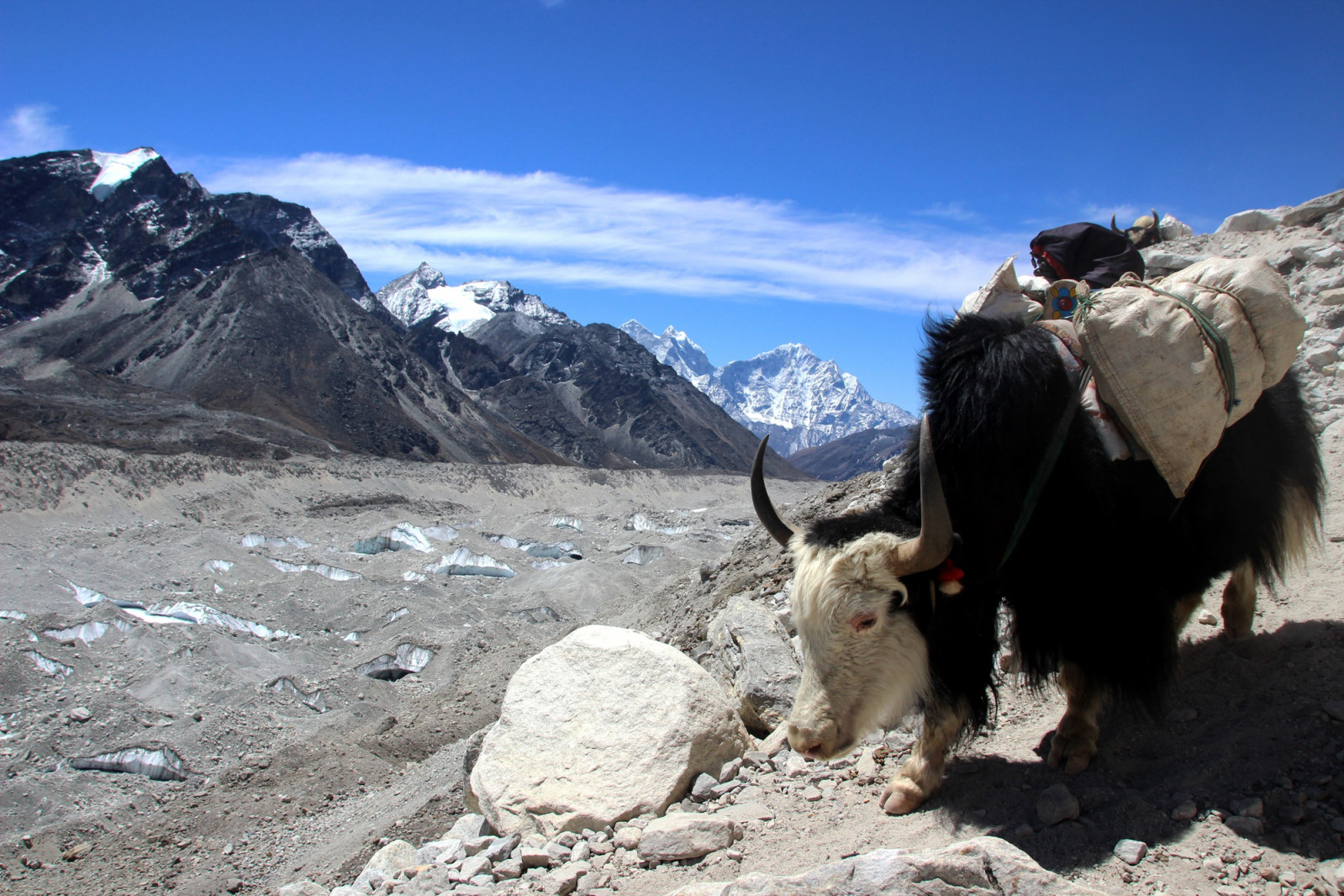 Winter in remote regions transforms how people eat, turning simple ingredients into