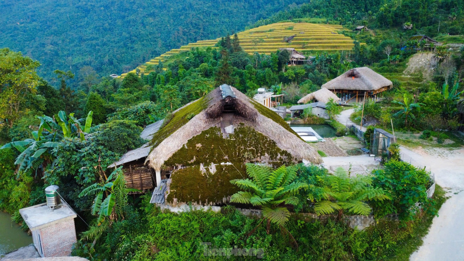 Những mái nhà phủ đầy rêu xanh tại thôn Xà Phìn. Ảnh: Check in Vietnam