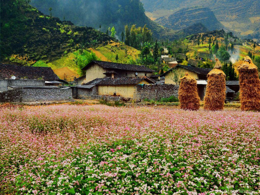 Ảnh: Dream Travel