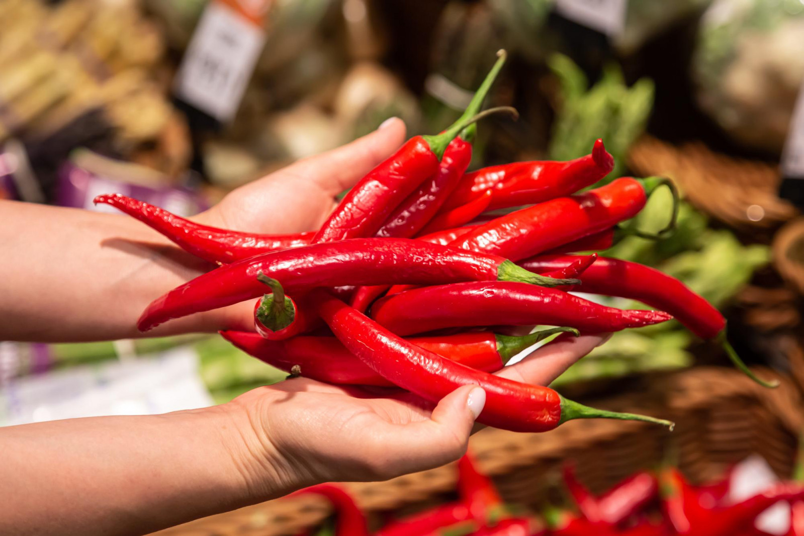 Oaxaca’s Mercado Benito Juárez is the essential hub for the spices that redefined global cuisine—namely, thousands of chilies, cacao, and vanilla (Photo: PVP Productions/Freepik)