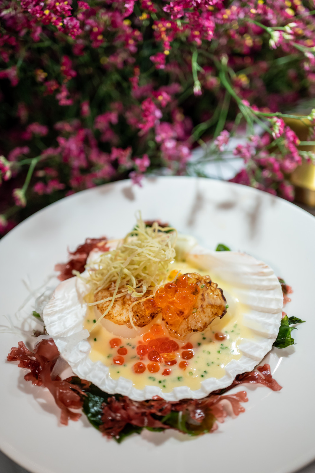 Hokkaido Scallop