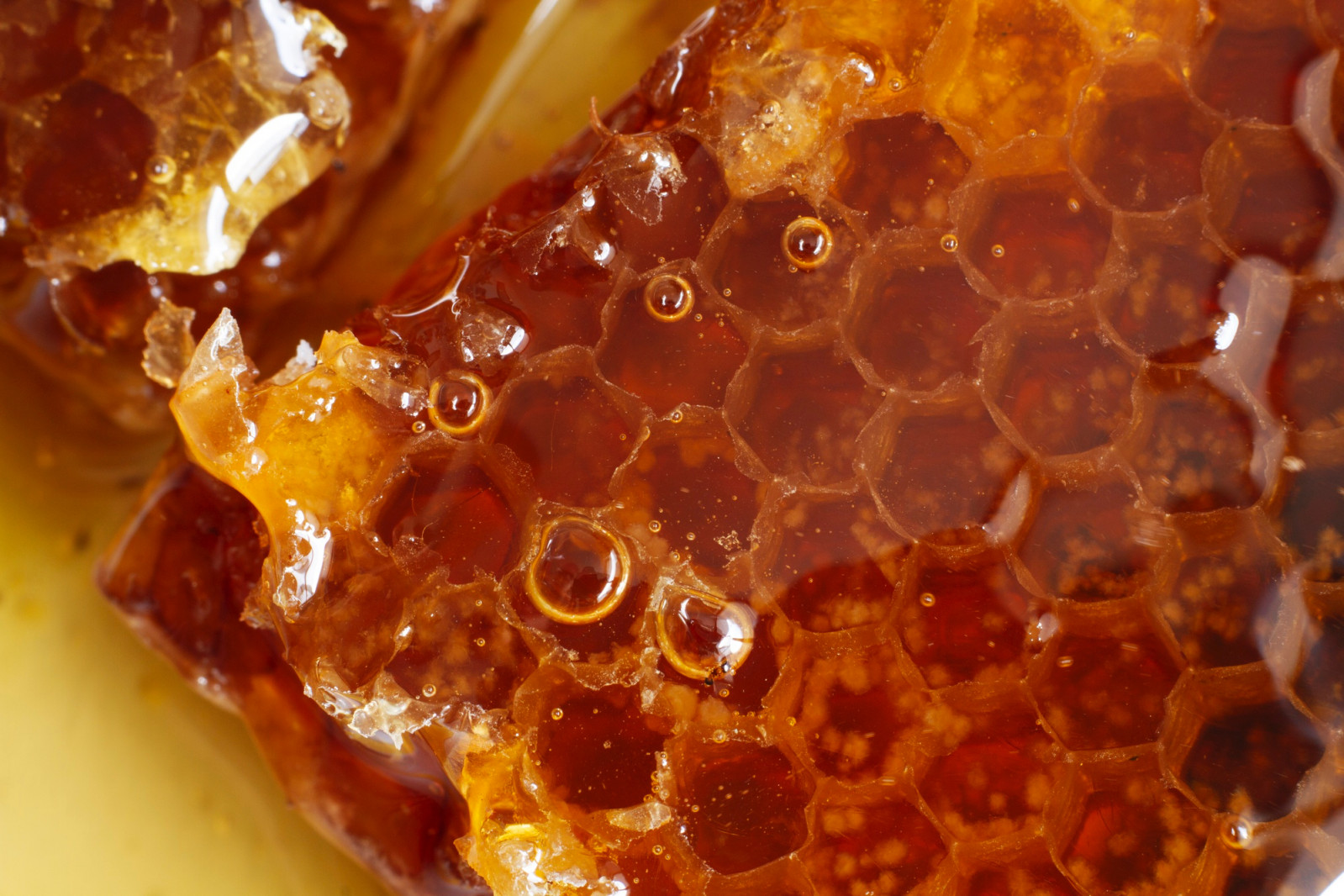 Discover the honey shaped by specific climate, rare flora, and dedicated beekeeping across continents (Photo: Freepik)