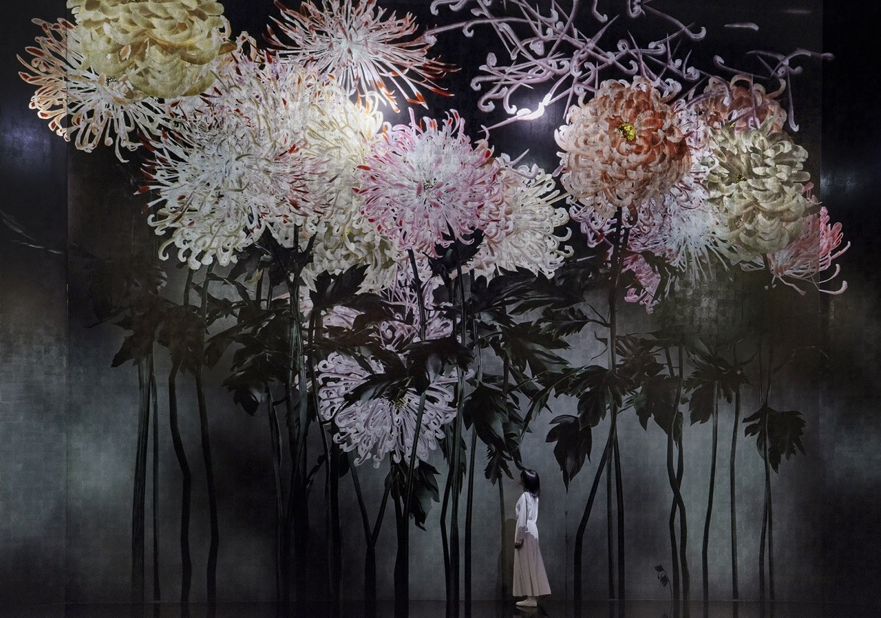 Silent Radiance Within features oversized digital chrysanthemums that bloom and decay in a darkened gallery where flowers appear to grow from floor to ceiling (Photo: teamLab, Silent Radiance Within © teamLab)