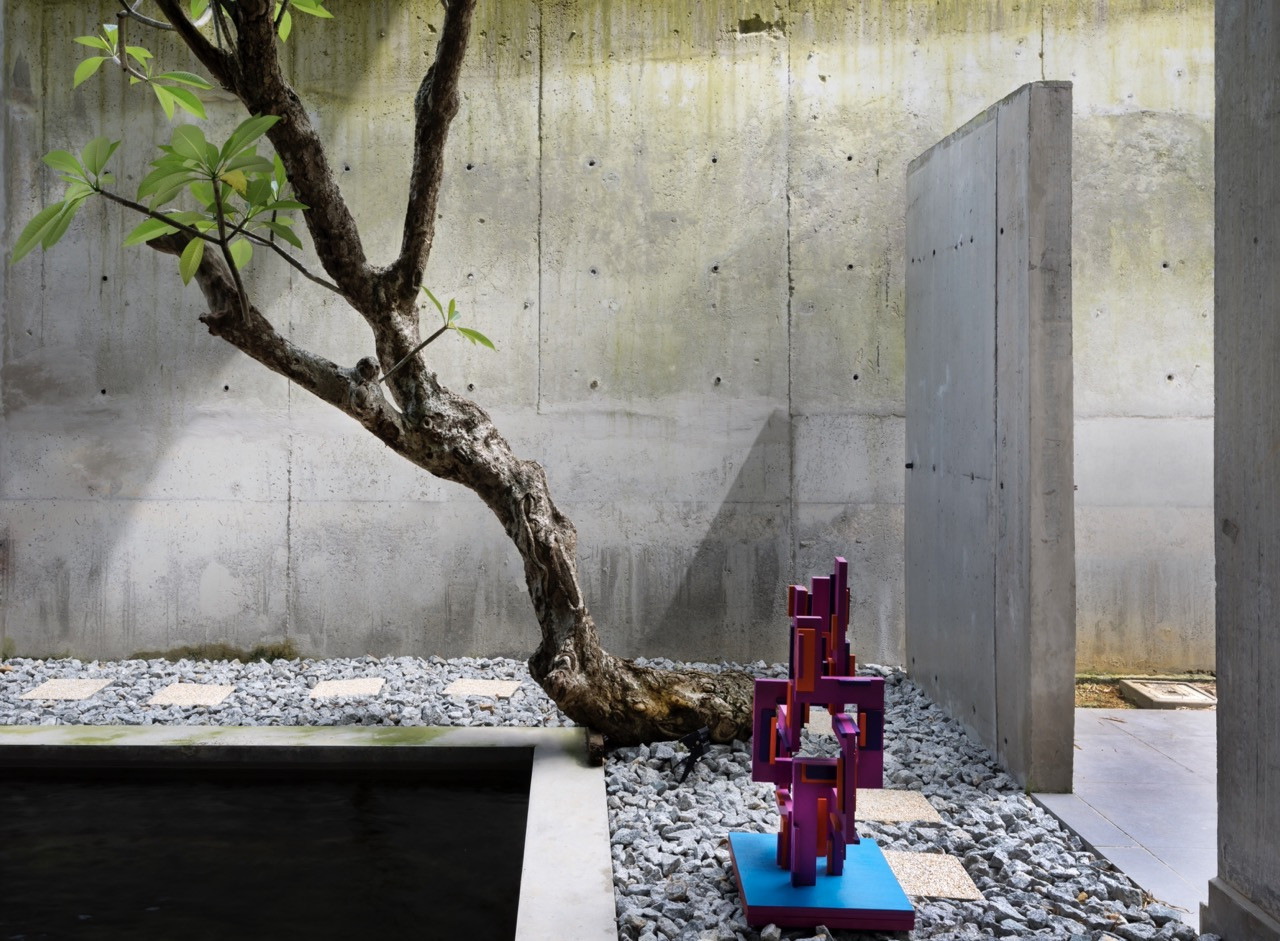 A sculptural frangipani tree grows beside a dark water feature set against weathered concrete walls, with white pebbles surrounding the tree, with square paving stones providing stepping points